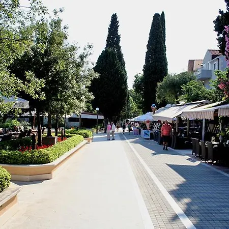 Pina And Lavender * Dubrovnik